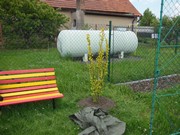 Výsadba na školní zahradě